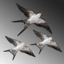 Aberto Design Flying Swallow - 2 Blanco y Negro